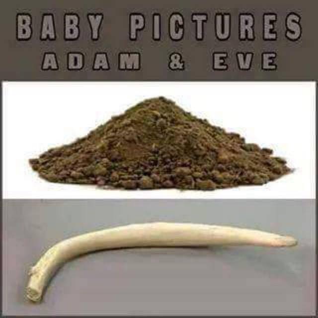 Baby Pictures of Adam and Eve - Christian Funny Pictures - A time to laugh
