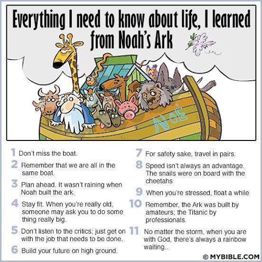 noah everything i need to know about life, noah's ark
