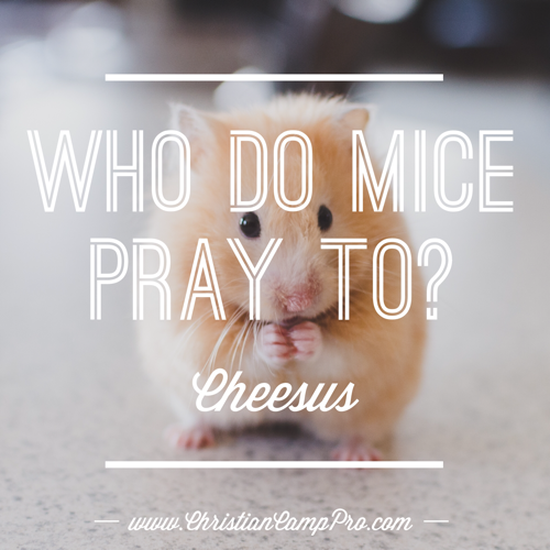 Who do mice pray to? - Christian Funny Pictures - A time to laugh