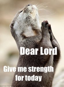 Dear Lord - 9 funny prayers to start your day - Christian Funny