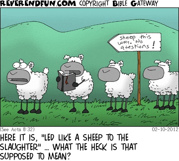 Sheep and the Bible - 12 ridiculous pictures - Christian Funny Pictures - A  time to laugh